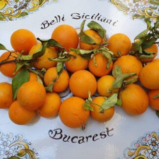 Nespole, legume, fructe, produse alimentare sicilia