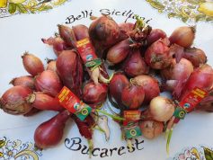 ceapa rosie de tropea, legume sicilia, produse sicilia