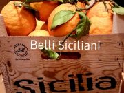 Portocale tarroco - belli siciliani - produse sicilia - produse alimentare sicilia